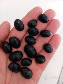 4 lumache neritine black helmet antialghe  