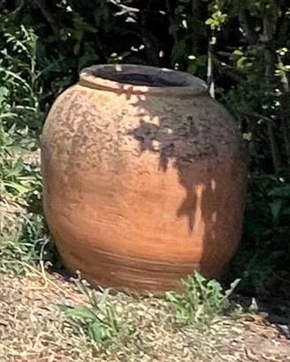 Antico Orcio in Terracotta - 50cm