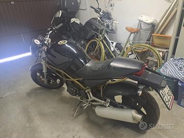Ducati Monster 600 - 1998