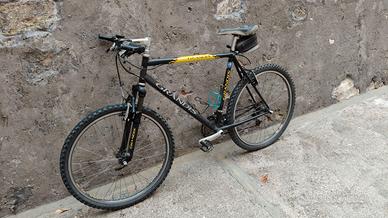 bici mountain bike Grandis