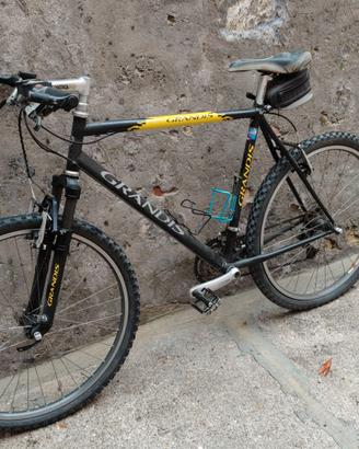 bici mountain bike Grandis