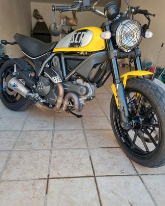 ducati scrambler 800