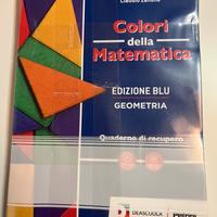 Libro di geometria “I colori della matematica 1”