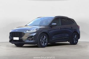 Ford Kuga 2.0 EcoBlue 120CV 2WD ST-Line Auto