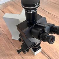 Olympus BX50F4 Microscope