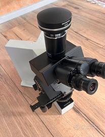 Olympus BX50F4 Microscope