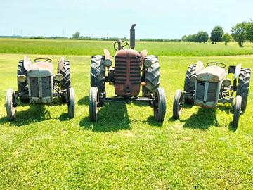 MASSEY HARRIS e FERGUSON