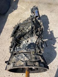 Cambio manuale zf intarder Iveco stralis