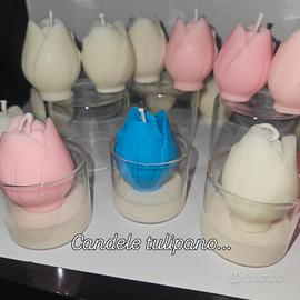 Candela Tulipano 