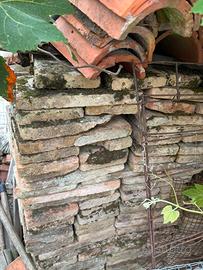 Gratis Tavelle in cotto (provincia di Treviso)