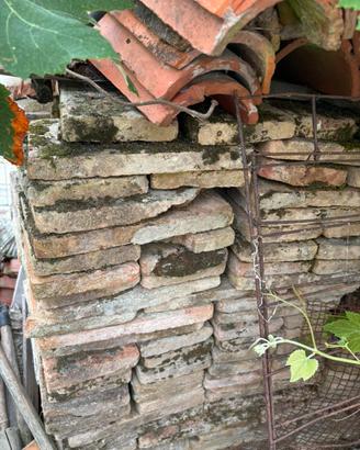 Gratis Tavelle in cotto (provincia di Treviso)