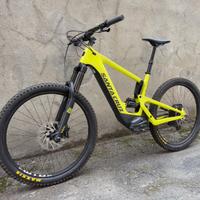 Santa Cruz Heckler