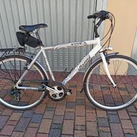 Bicicletta City Bike uomo