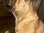 Immagine 6