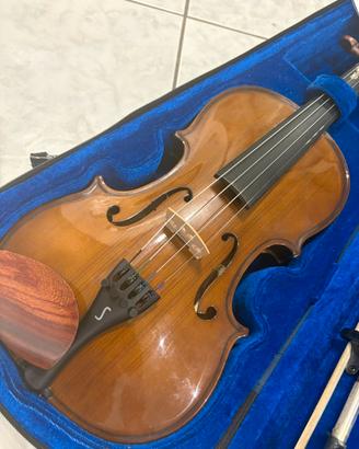 Violino