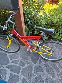 bicicletta da uomo