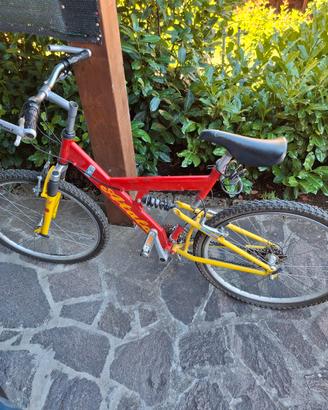 bicicletta da uomo