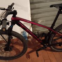 bicicletta mtb