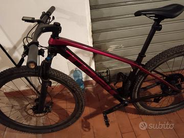 bicicletta mtb