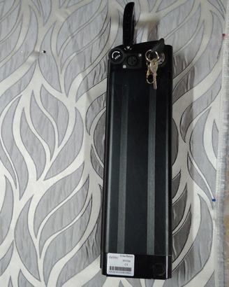 bicicletta elettrica 