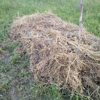 SFALCI E RESIDUI VEGETALI PER PACCIAMATURA –