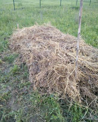 SFALCI E RESIDUI VEGETALI PER PACCIAMATURA –