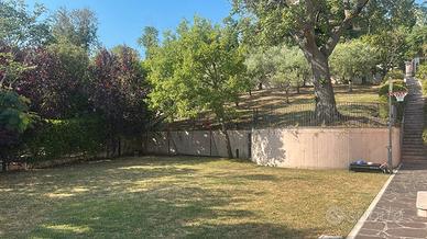 Appartamento con giardino e ingresso indipendente