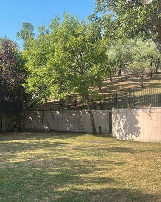 Appartamento con giardino e ingresso indipendente