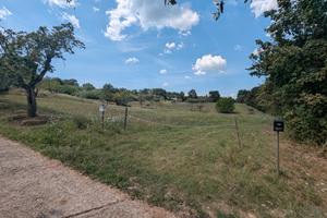 Terreno agricolo in Via Chianti Valdarno 1
