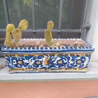 vaso rettangolare in terracotta 