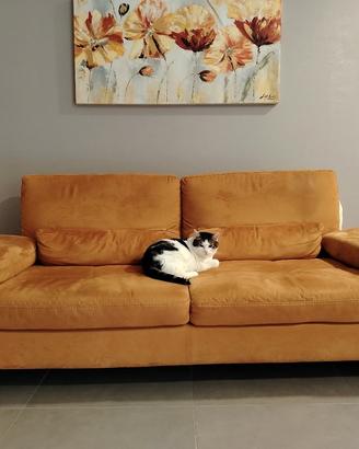 Divano moderno. Come  nuovo. Marca FEDERICI  