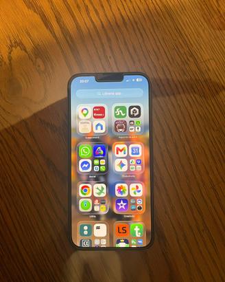 iphone 13 pro max 256 gb