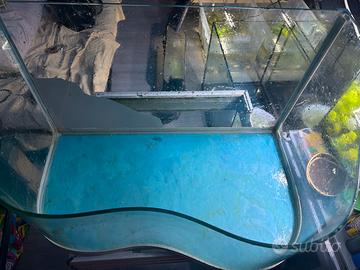 acquario per tartarughe