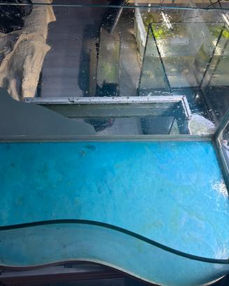 acquario per tartarughe