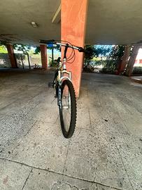 Bici lombardo