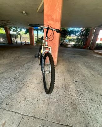 Bici lombardo