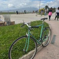 Bici da corsa vintage Bianchi Record Elegance