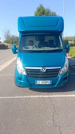 Opel Movano trasporto cavalli