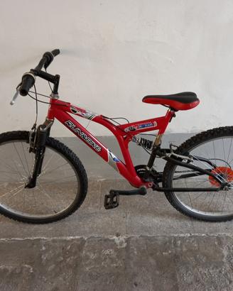 Mountain bike