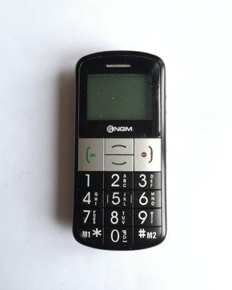 Cellulare NGM Roger