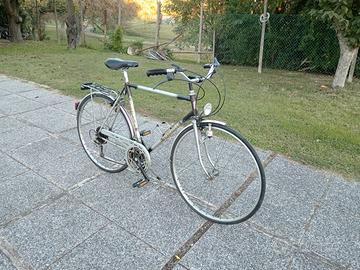 bicicletta sportiva uomo marca Vicini perfetta 
