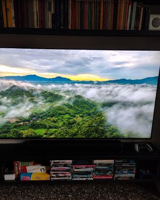 smart TV 65 pollici 4k