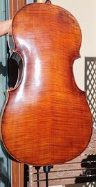 violoncello 
