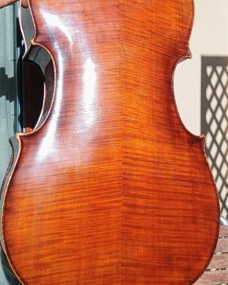 violoncello 