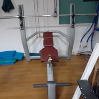 Panca inclinata Technogym
