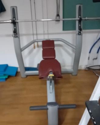 Panca inclinata Technogym