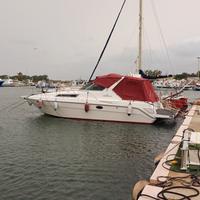 Cranchi 32