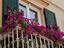 Immagine 27