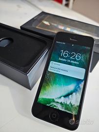 iPhone 5 