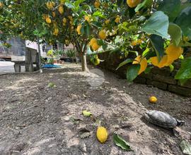 3 LOCALI A NAPOLI